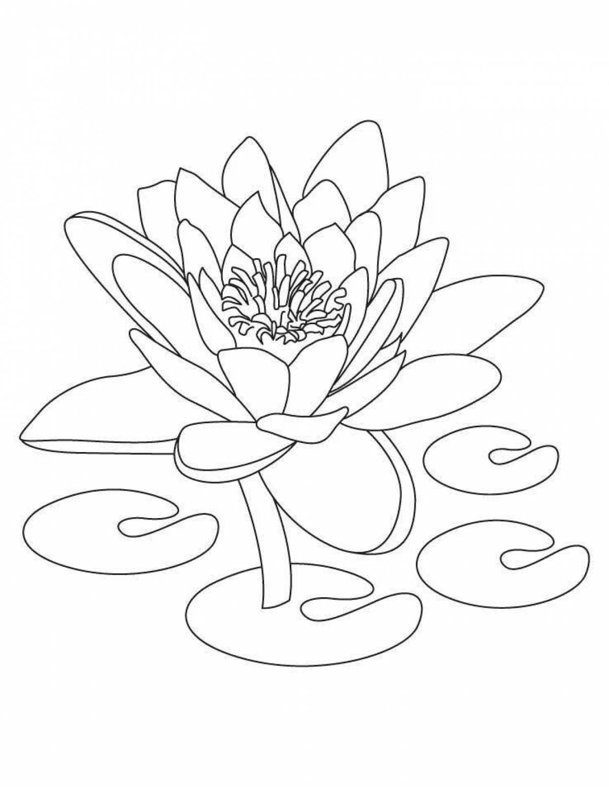 Beautiful water lily coloring page