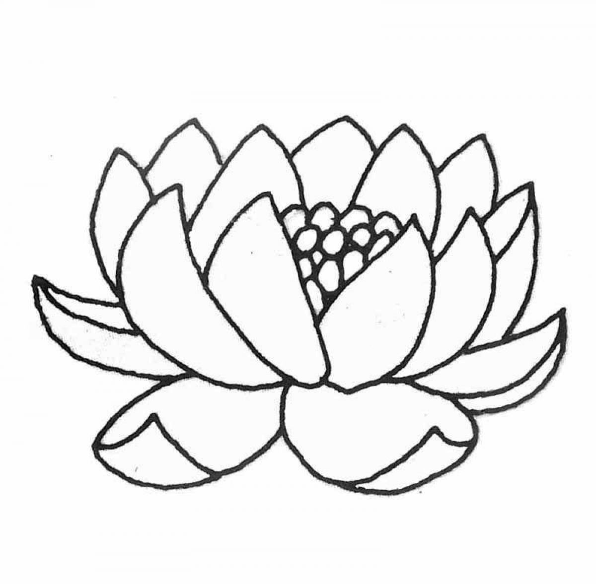 Exquisite water lily coloring page