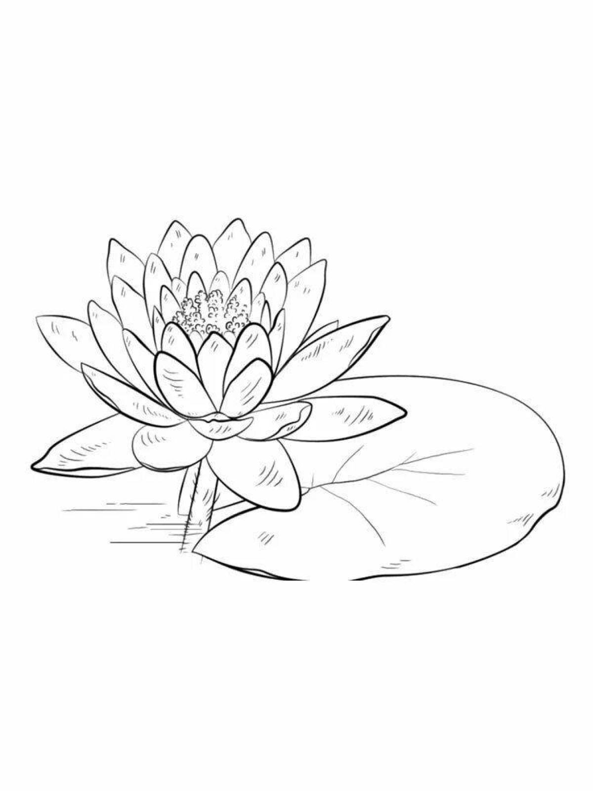 Coloring page graceful water lily