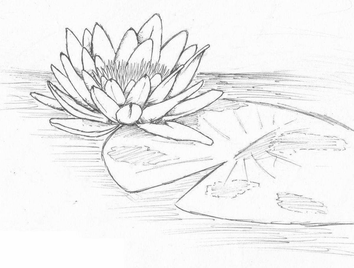 Joyful water lily coloring book