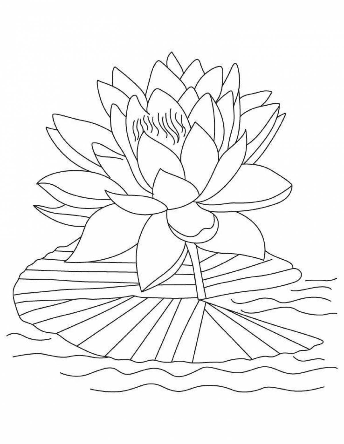 Colorful water lily coloring book