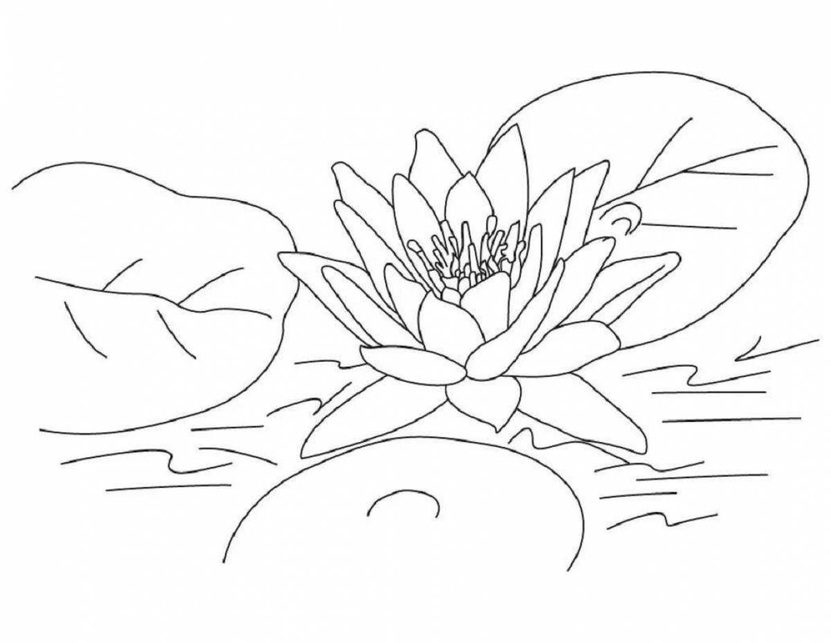 Harmonious water lily coloring page