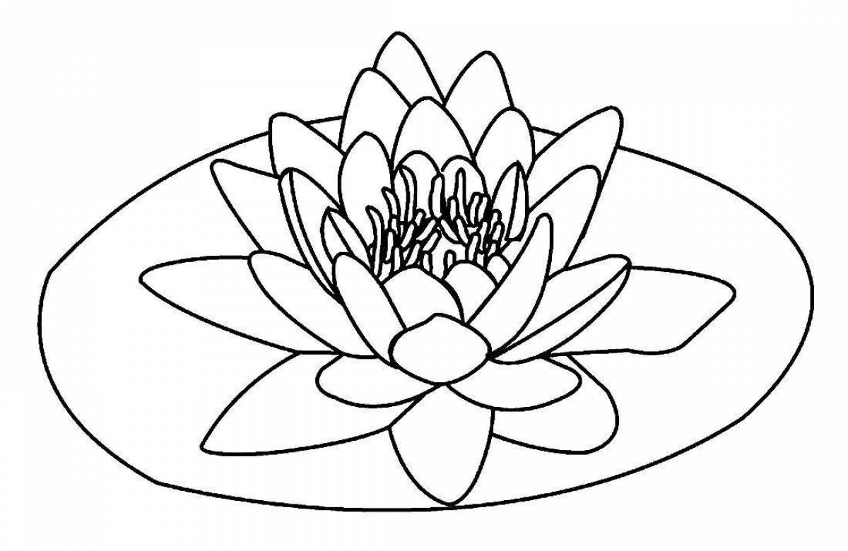 Coloring dreamy water lily