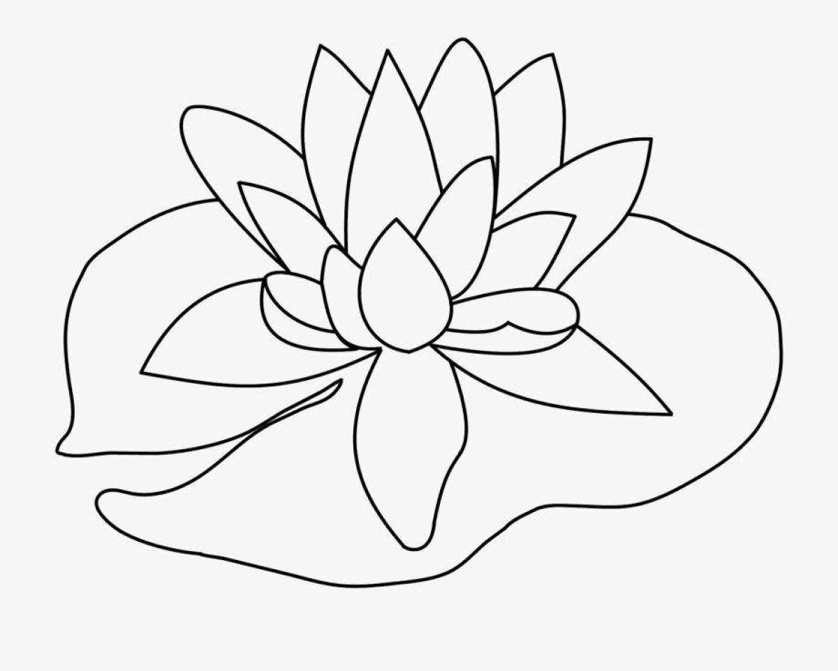 Water lily #1