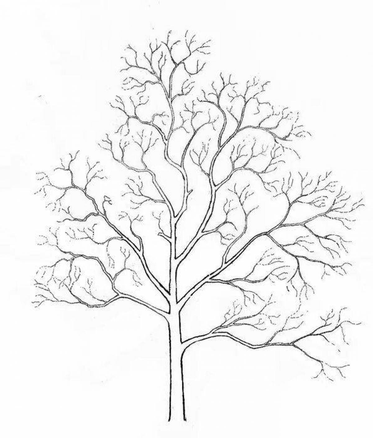 Gorgeous winter tree coloring page
