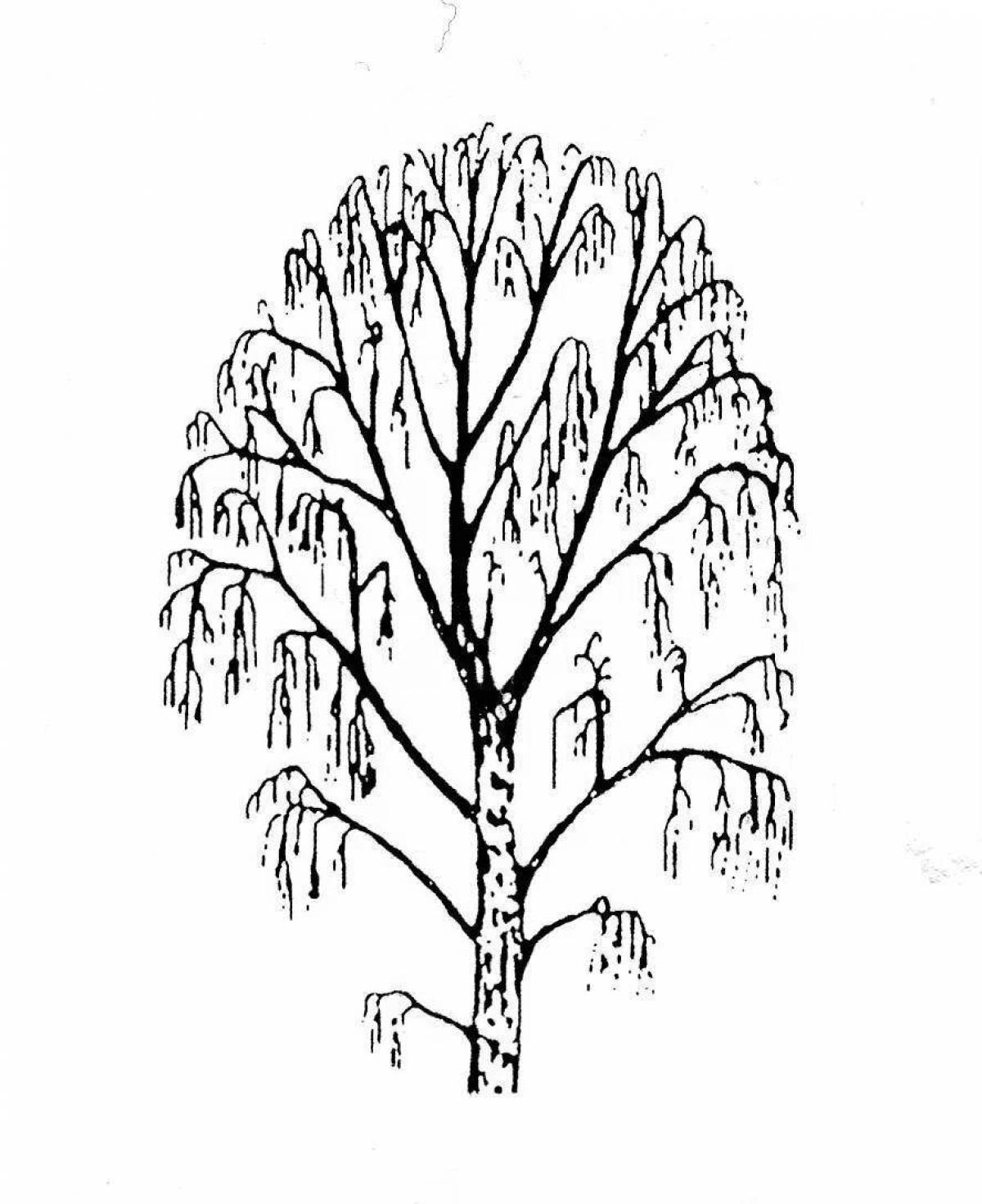 Coloring sublime winter tree
