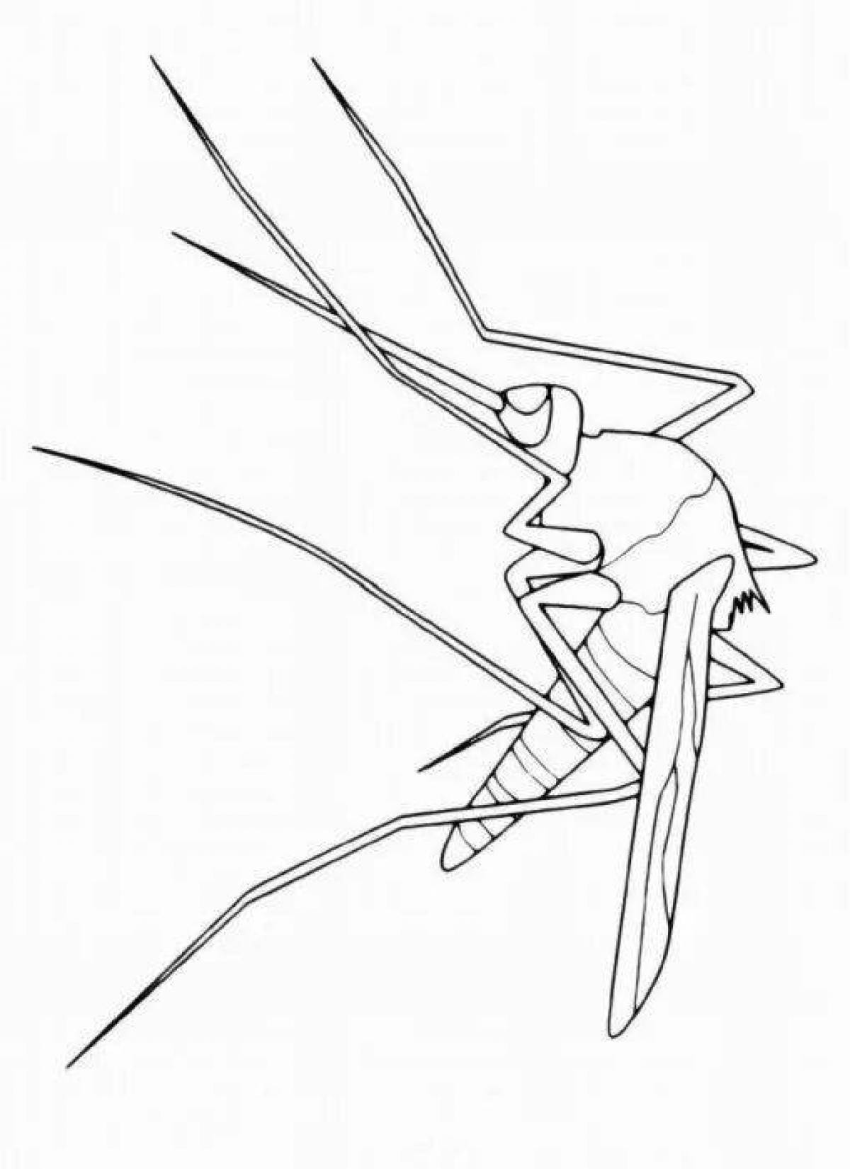 Incredible mosquito coloring book for kids