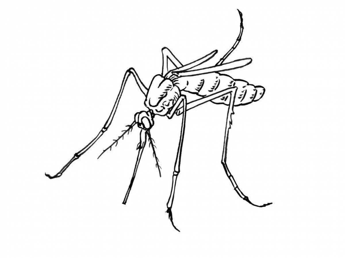 Great mosquito coloring book for kids