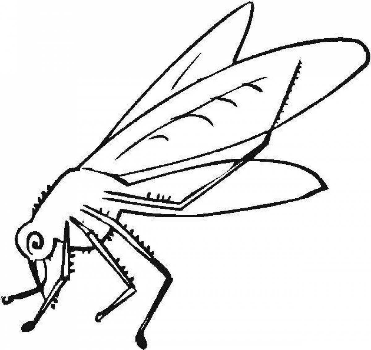 Cute mosquito coloring book for kids