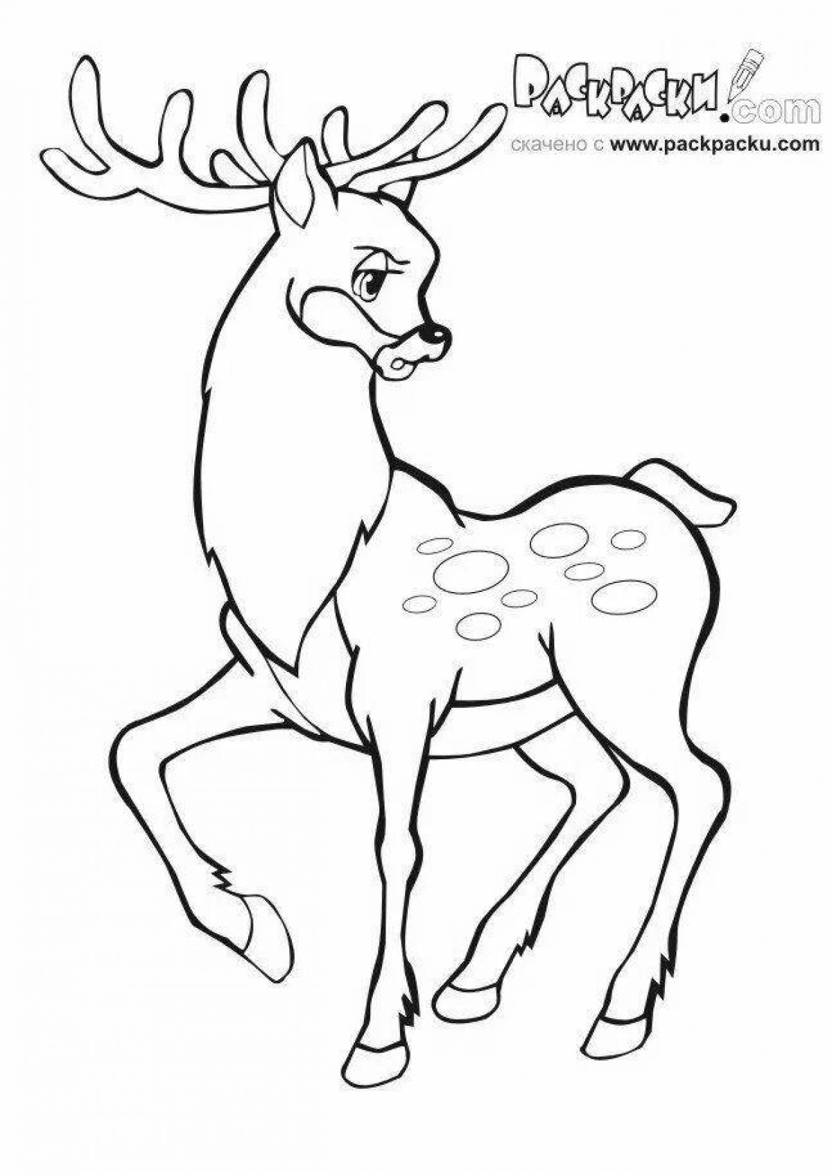 Gorgeous silver hoof coloring page for kids