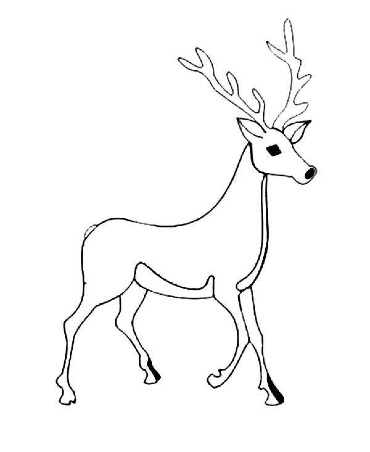 Incredible silver hoof coloring book for little ones