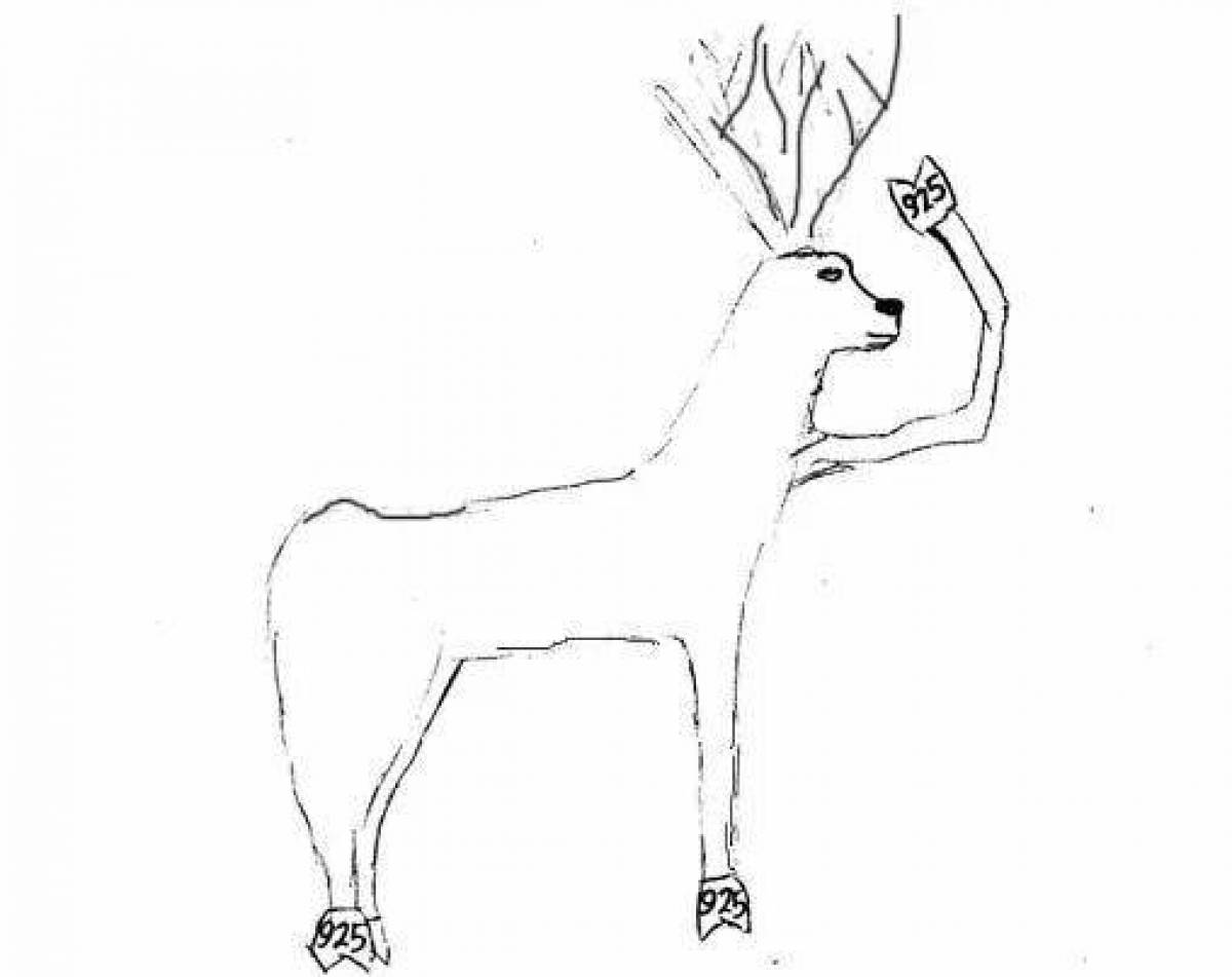 Elegant silver hoof coloring page for kids