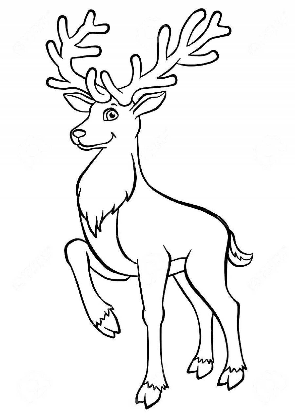 Adorable silver hoof coloring book for babies