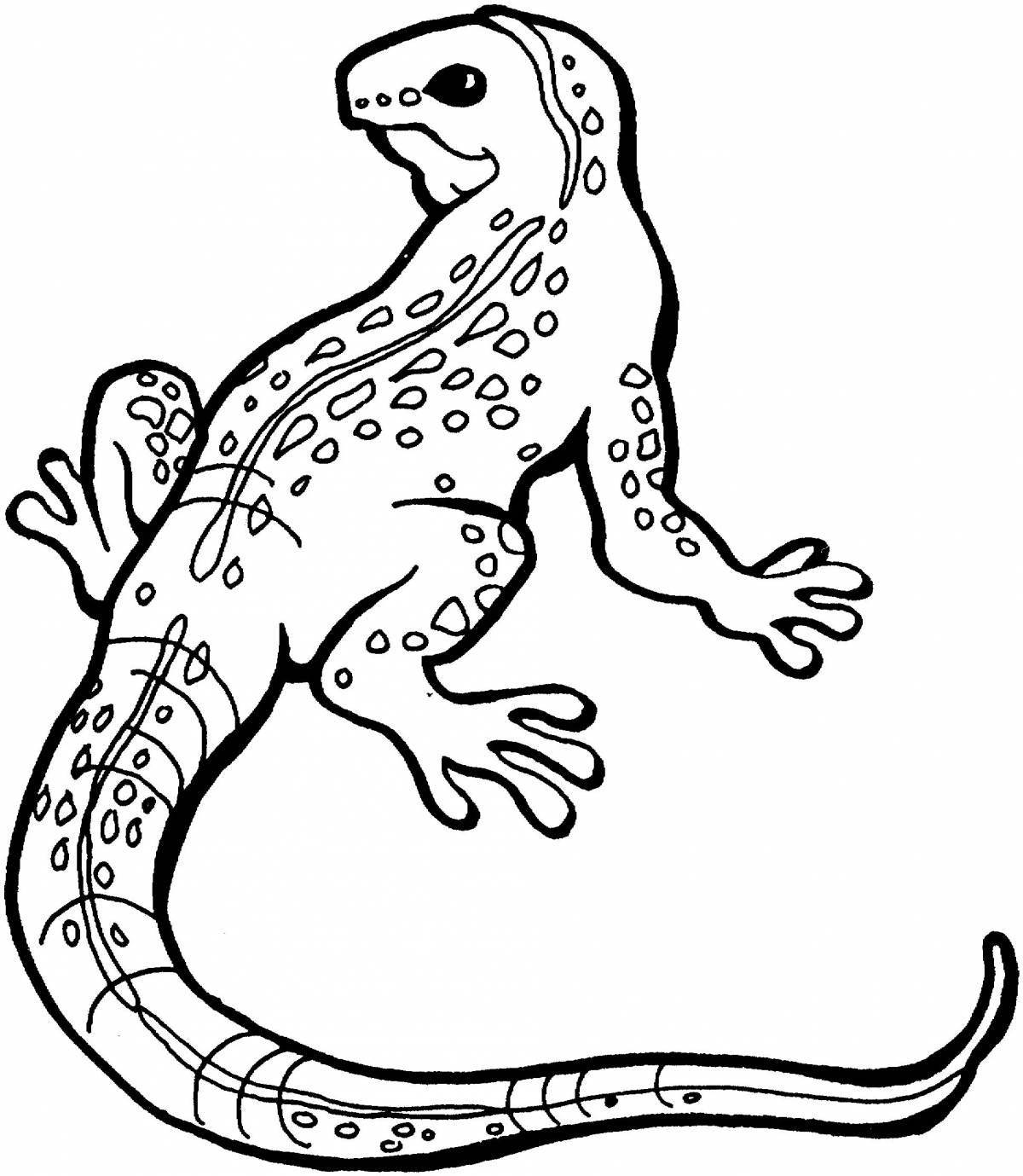 Colorful lizard coloring book for kids