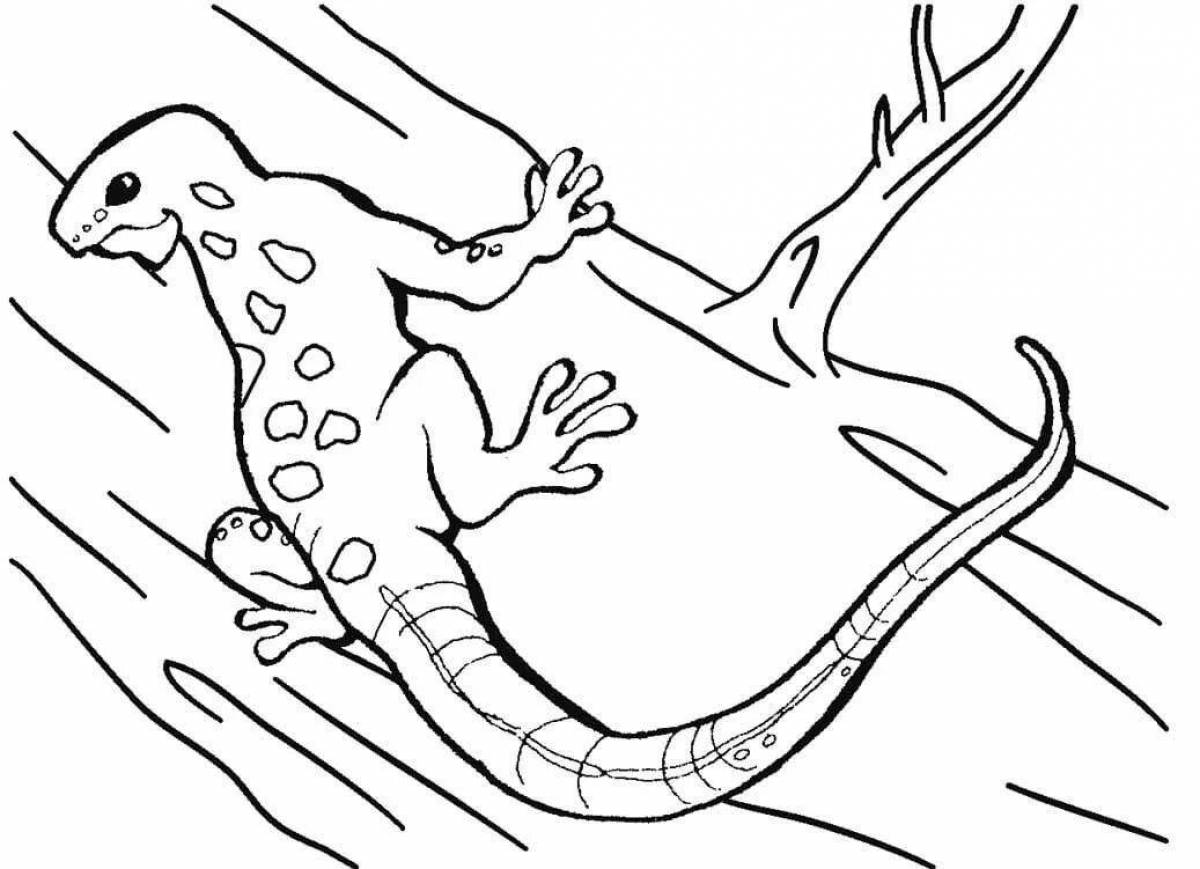 Playful lizard coloring book for kids
