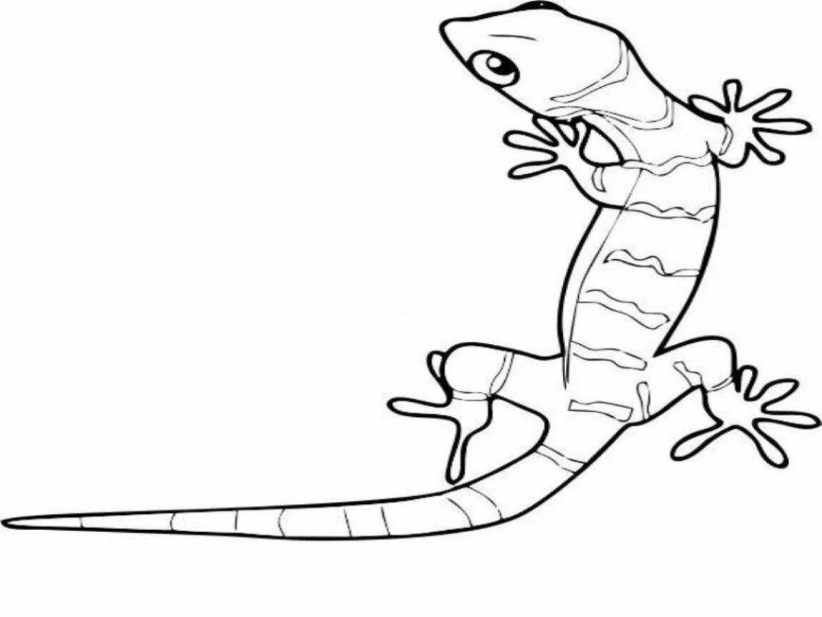 Creative lizard coloring book for kids