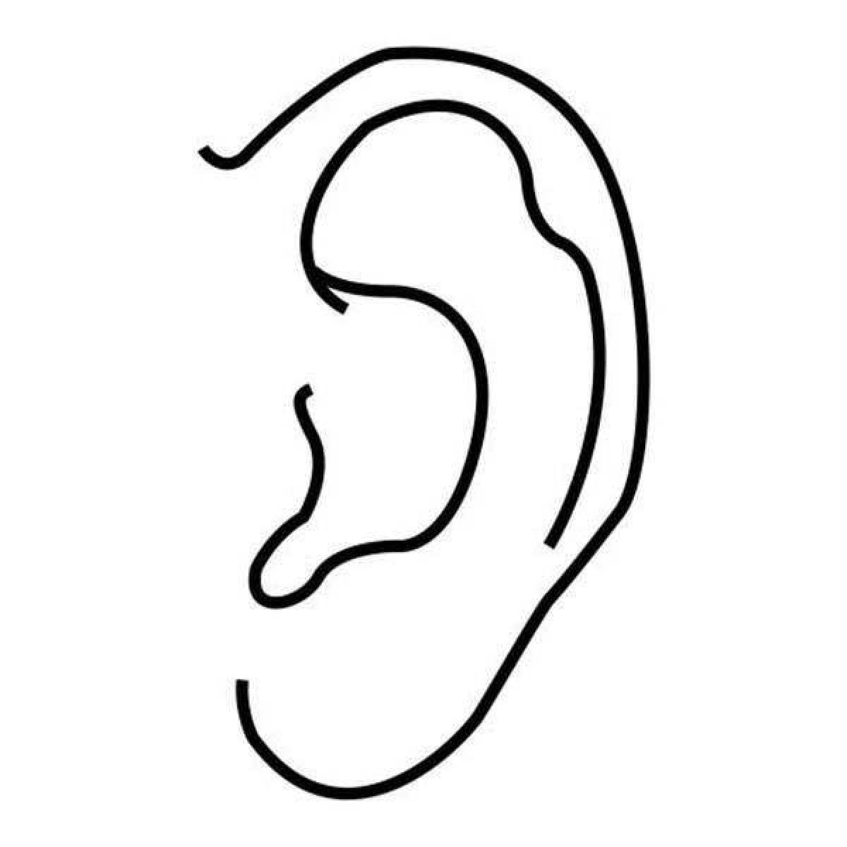 Анимированная раскраска ухо