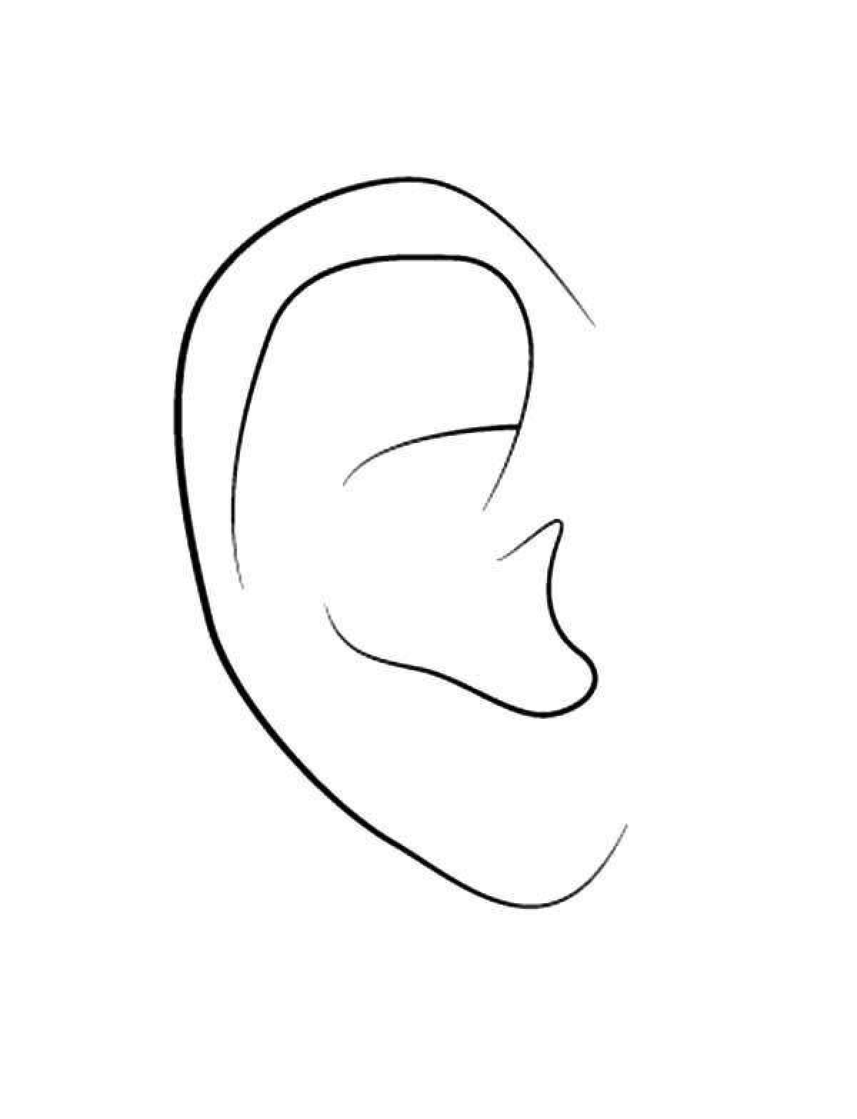 Ear #1