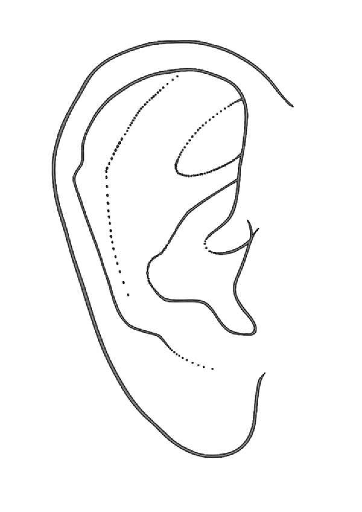 Ear #4