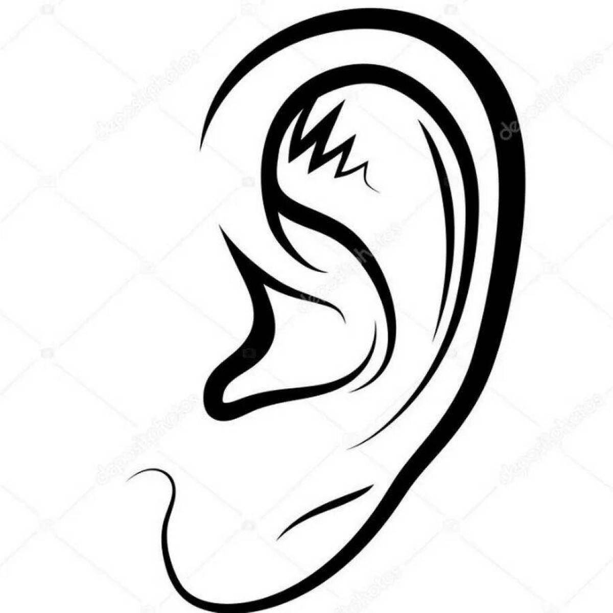 Ear #8