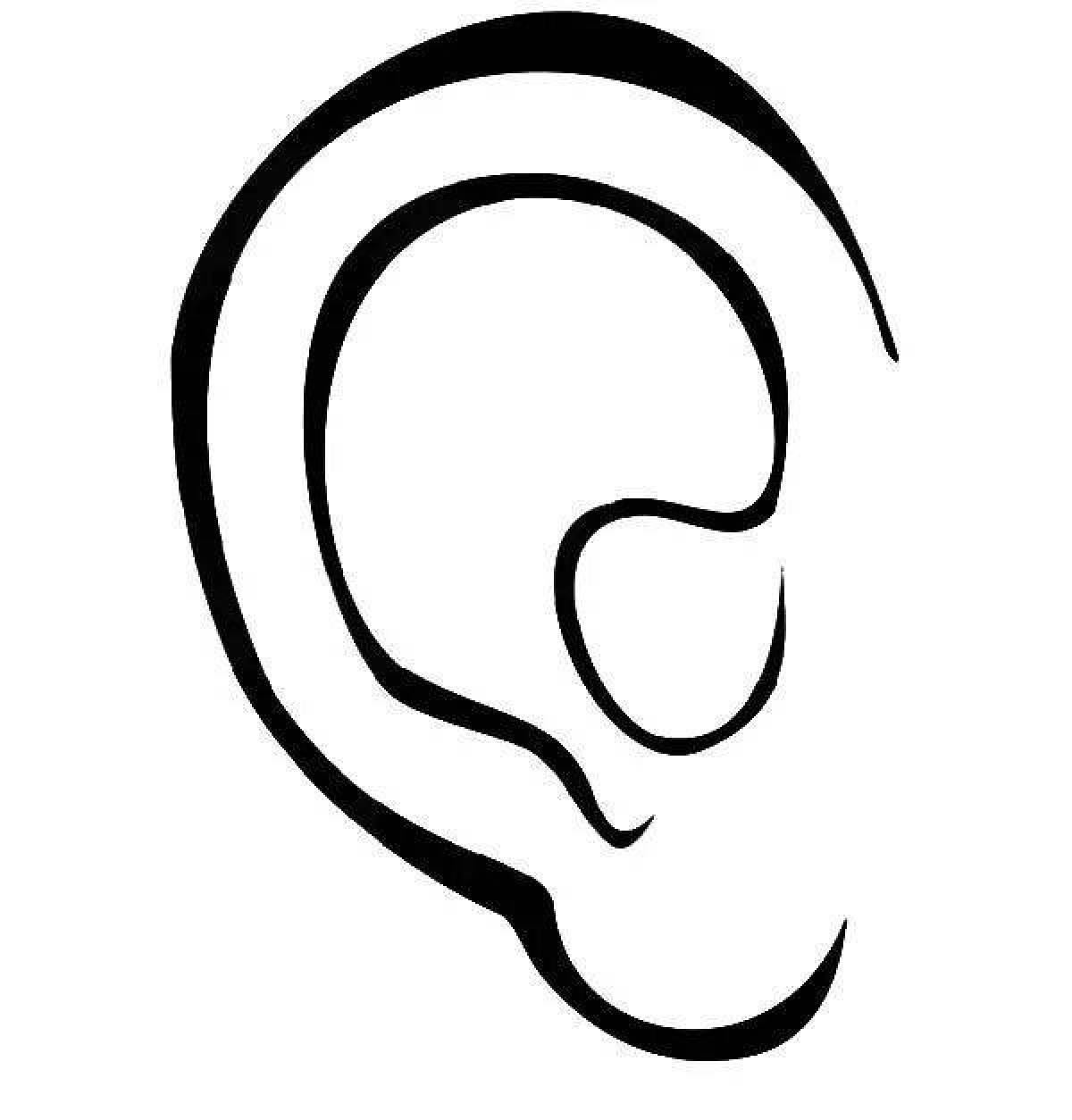 Ear #11
