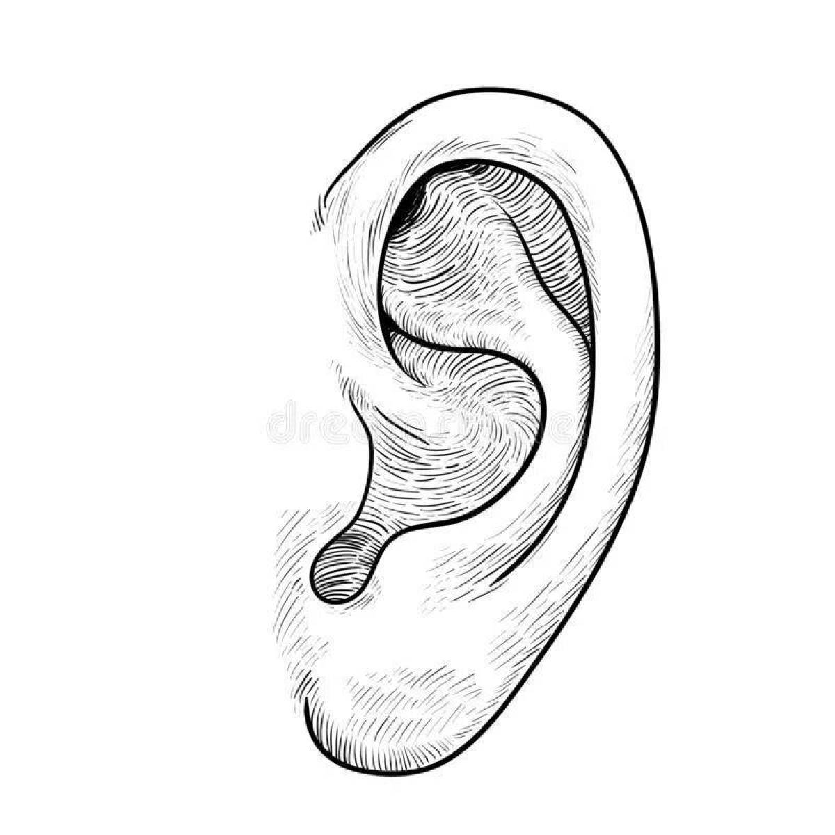 Ear #14