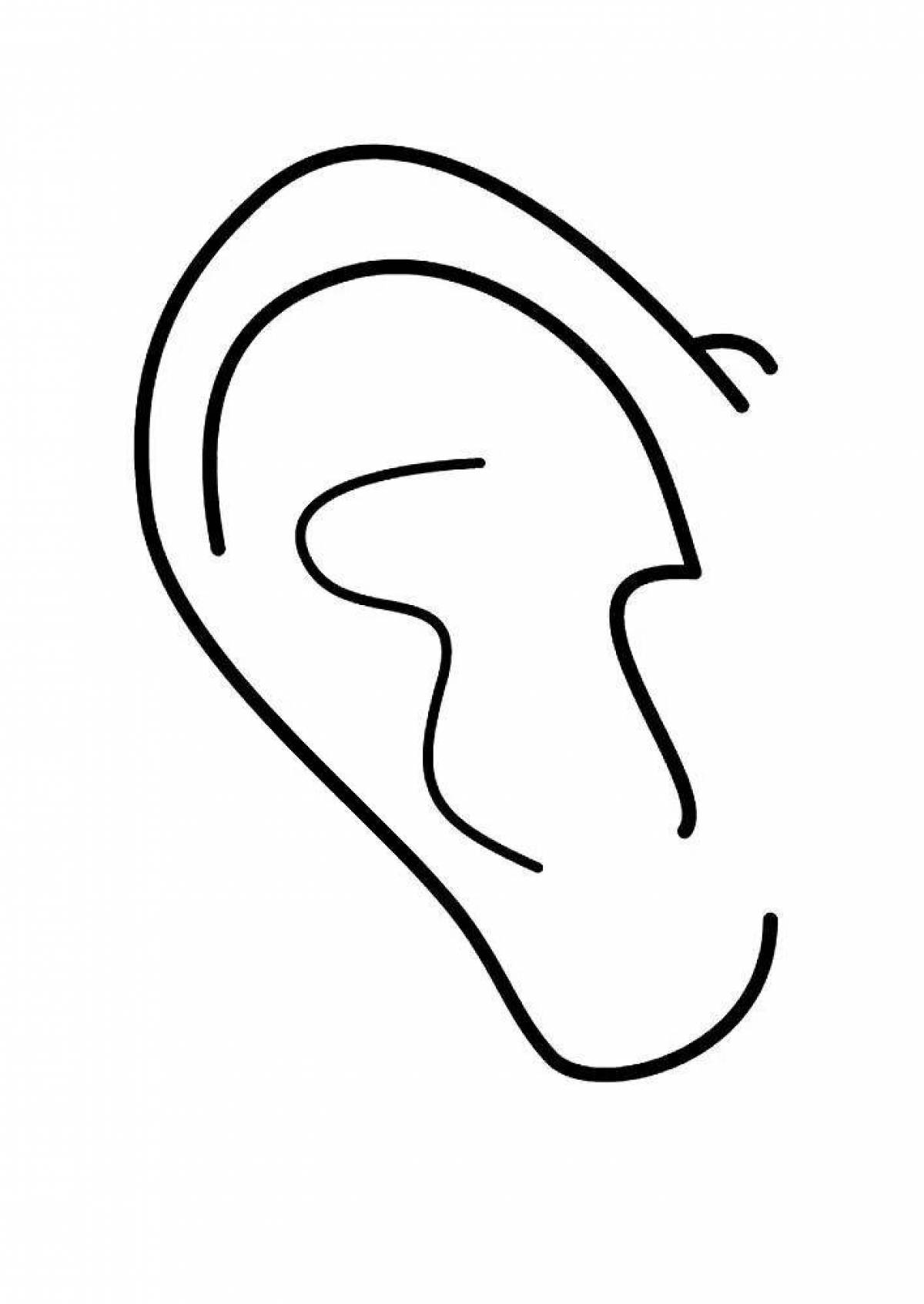Ear #16