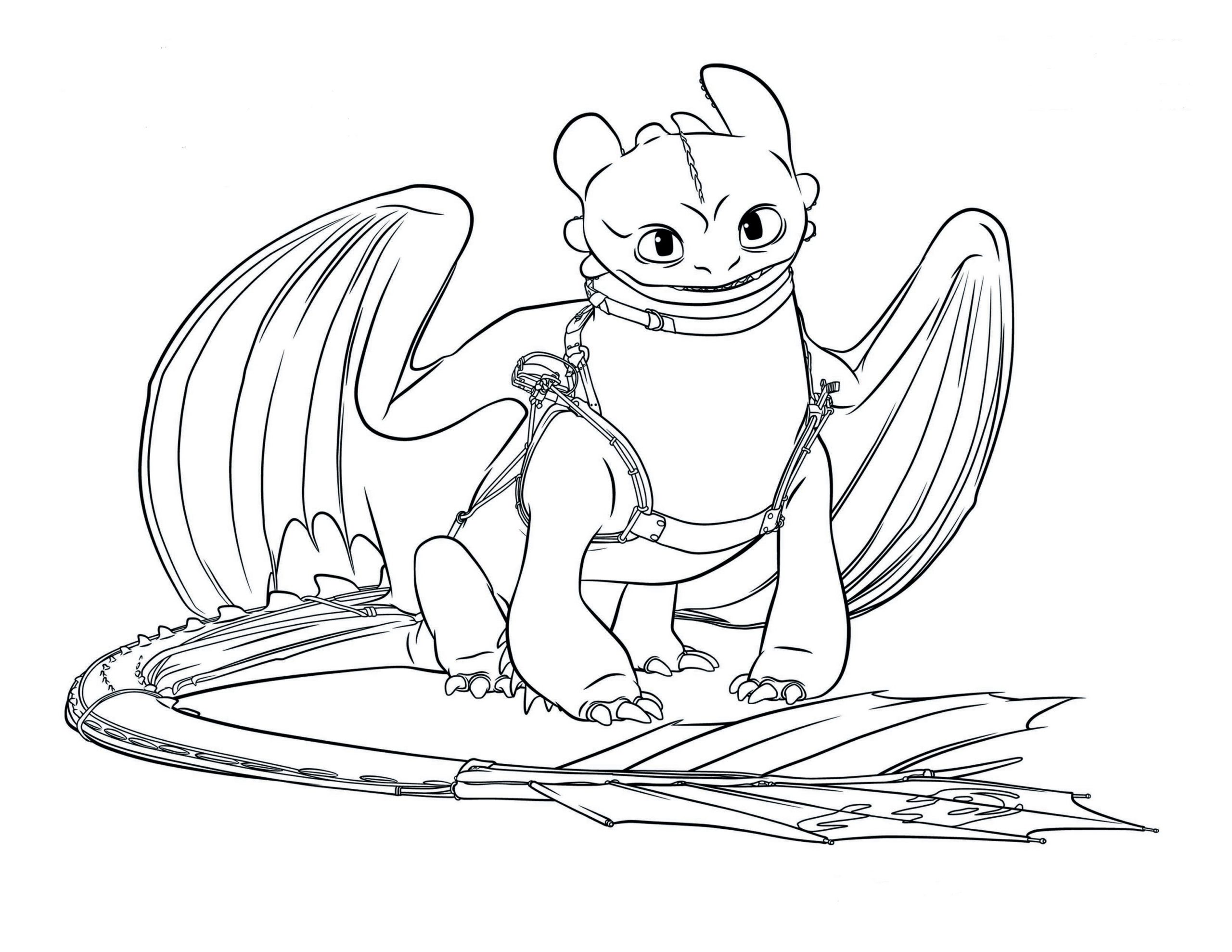 Toothless dragon coloring book