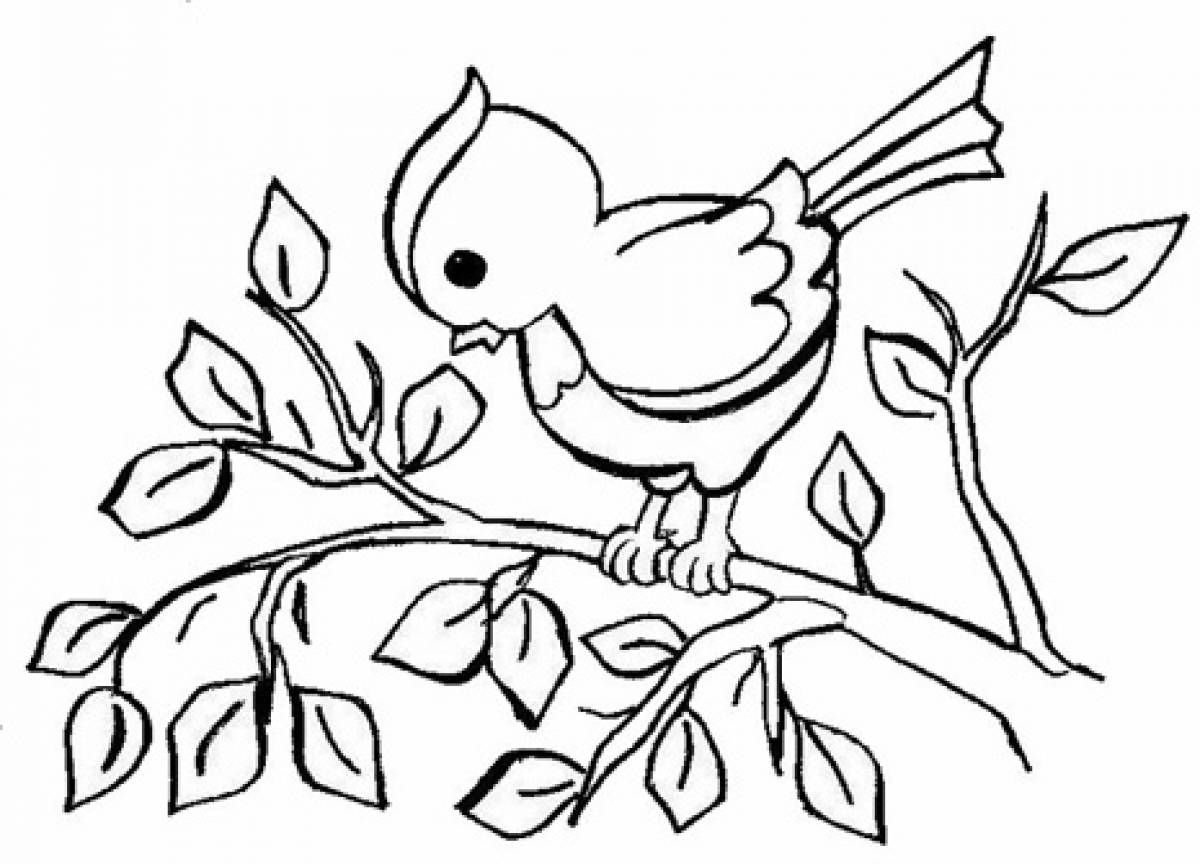 Photo Coloring page for a girl 6 years old