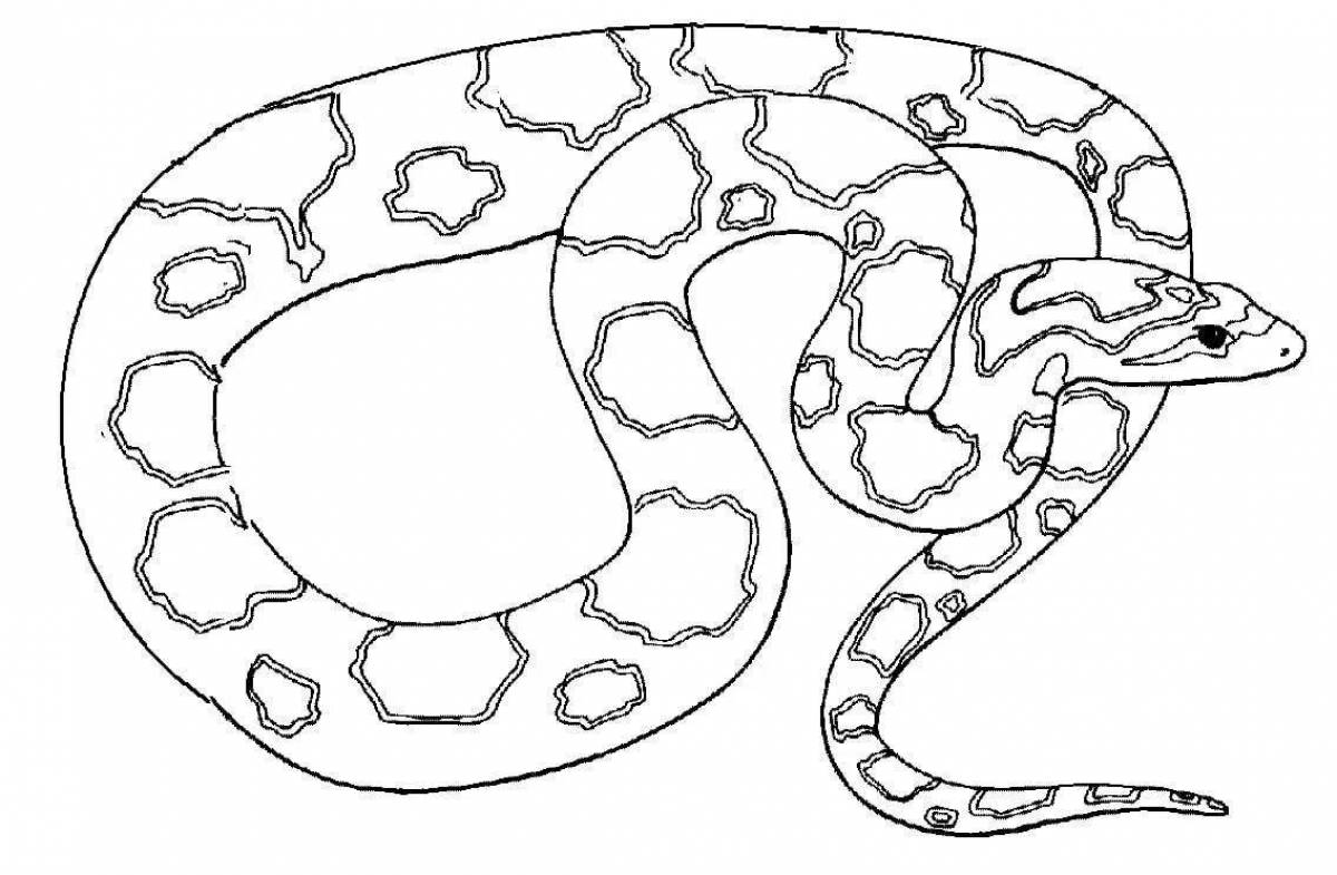 Раскраска змей распечатать. Змея раскраска. Раскраски змей. Раскраска змеи для детей. Змея раскраска для детей.