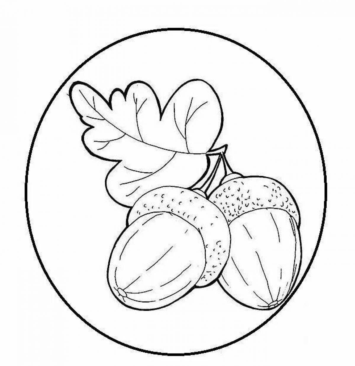 Playful acorn coloring page