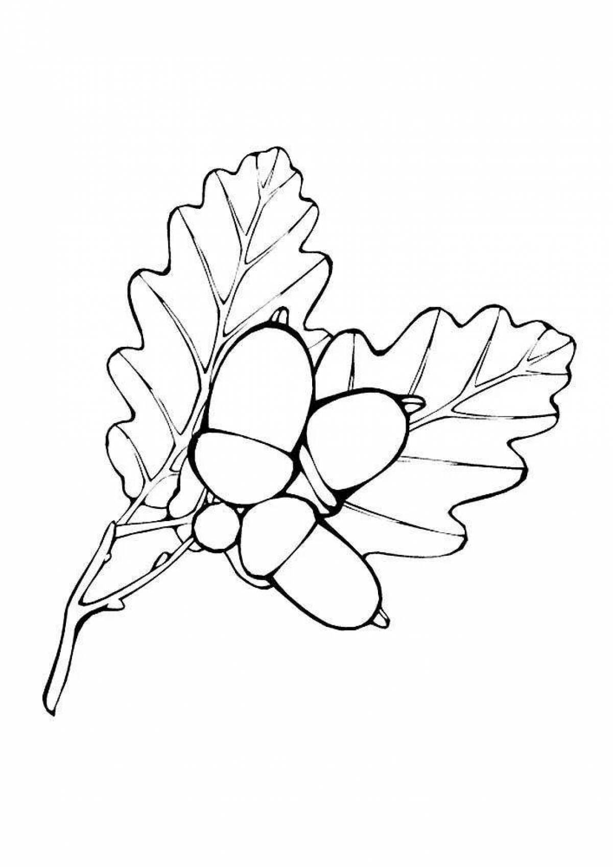 Sweet acorn coloring page