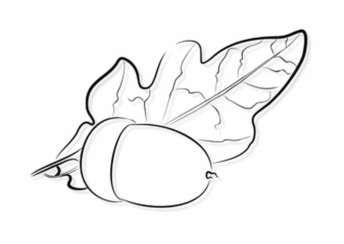 Beautiful acorn coloring page