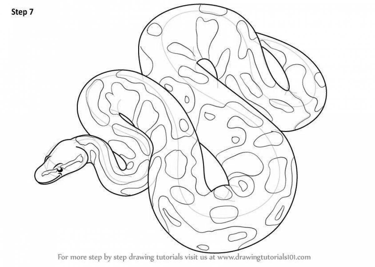 Colorful python coloring page