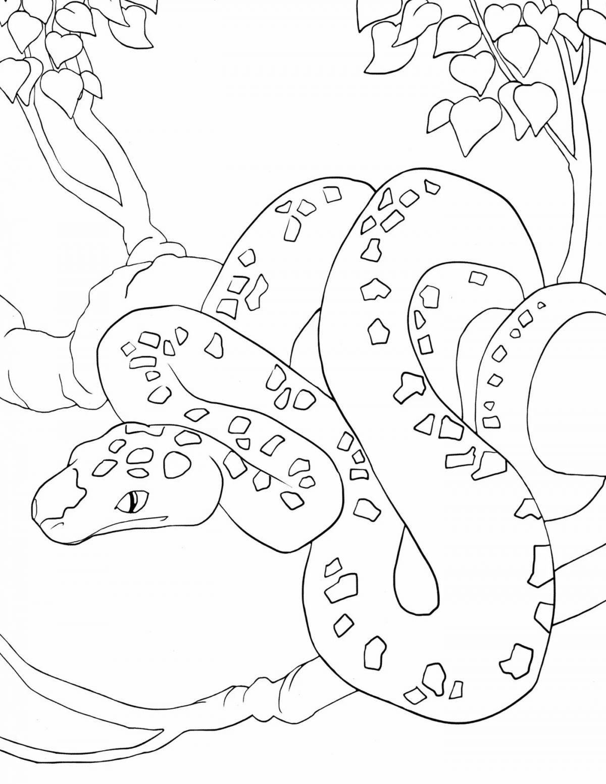 Vibrant python coloring page
