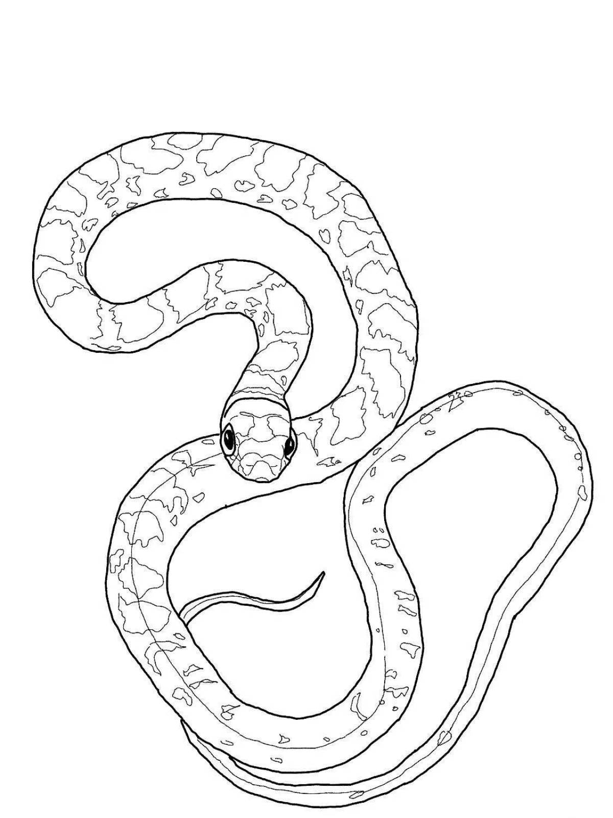 Яркая раскраска python