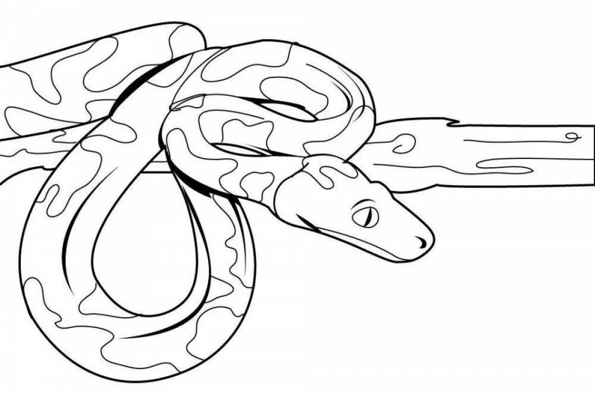 Playful python coloring page