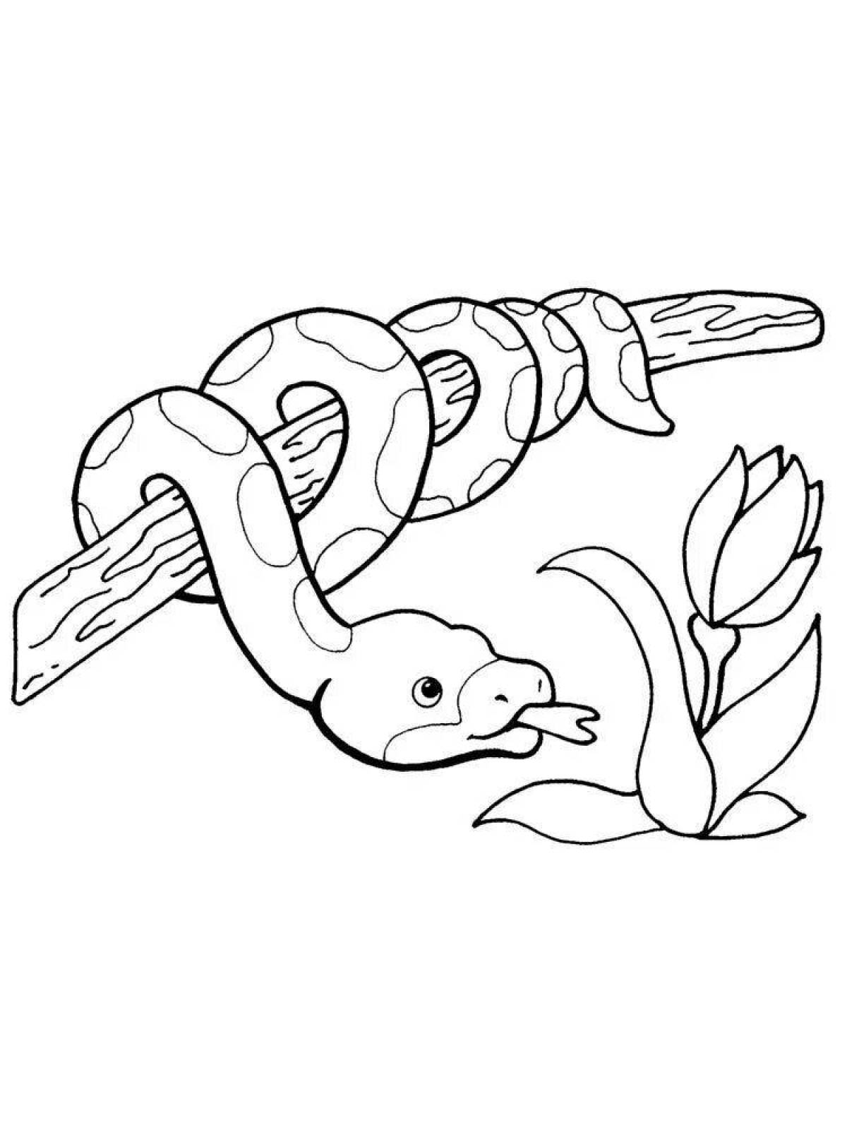 Python #6