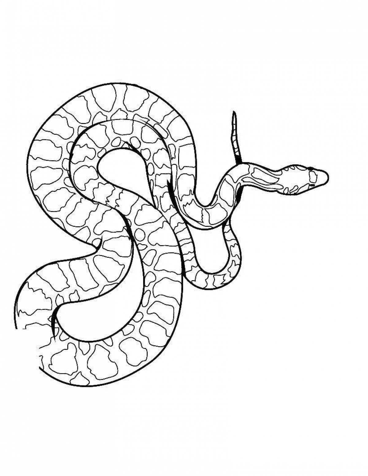 Python #7