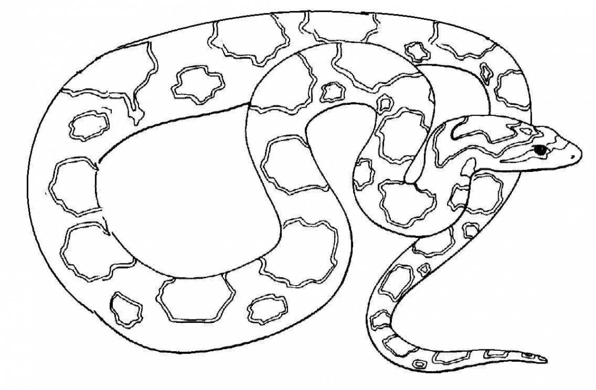 Раскраски змей распечатать. Змея раскраска. Раскраска змеи для детей. Раскраска о змеях. Змея раскраска для детей.