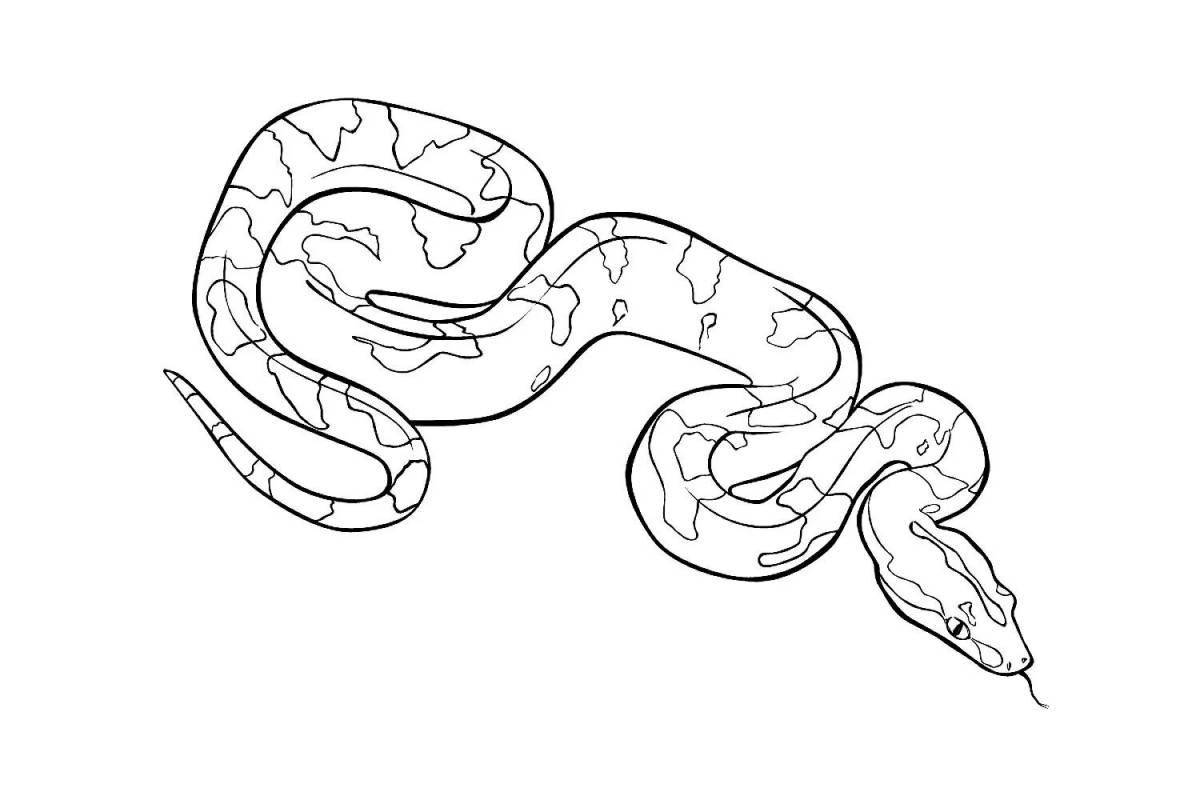 Python #24