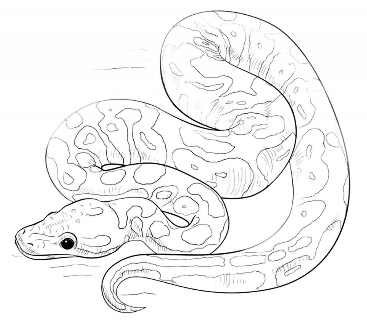 Python #26