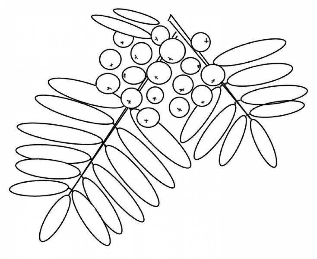 Playful rowan coloring page for babies