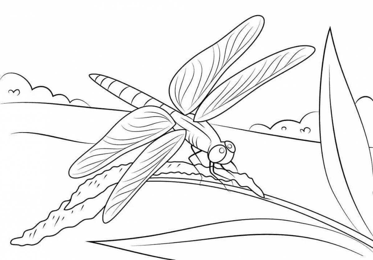 Colorful dragonfly coloring page for kids