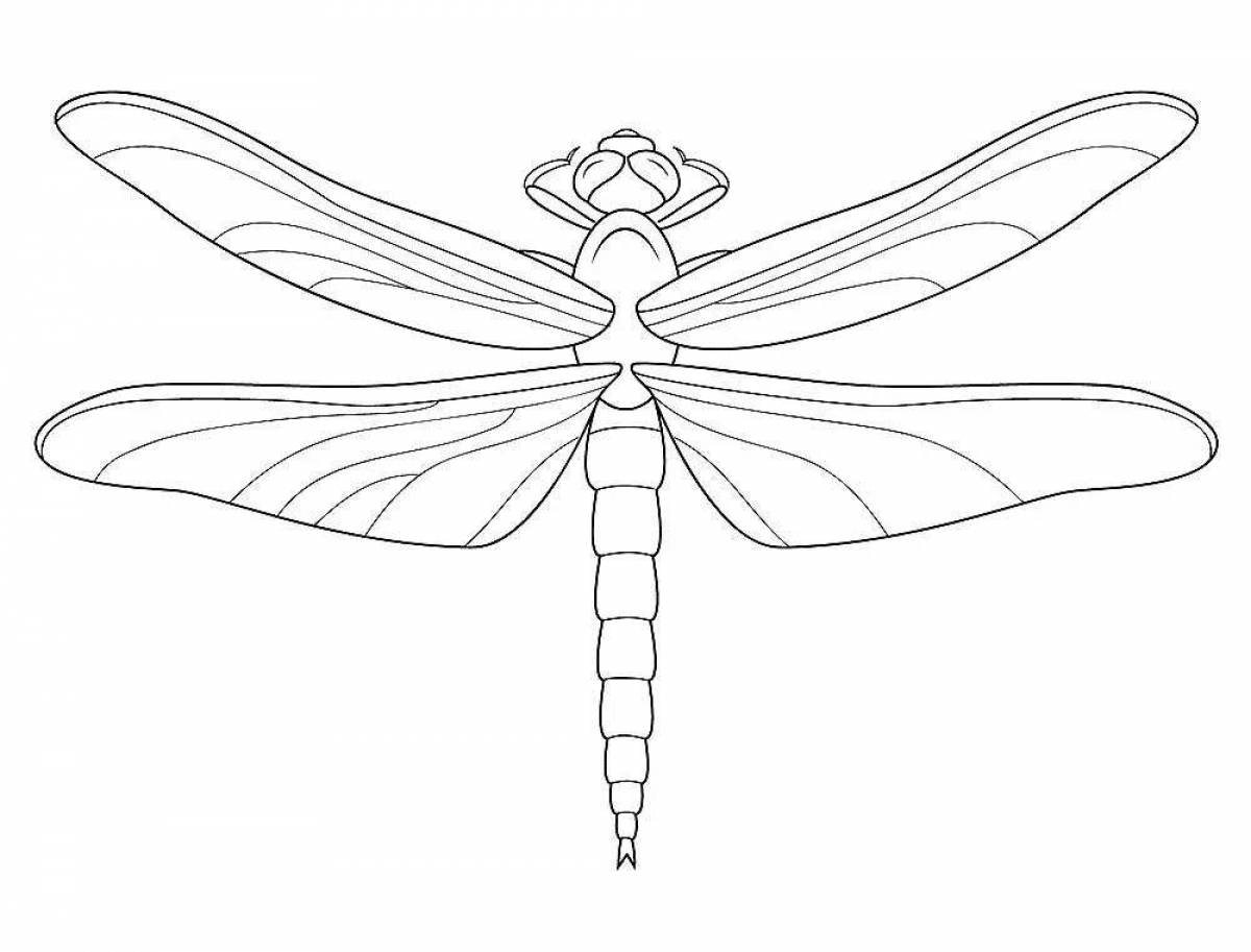 Children coloring dragonfly