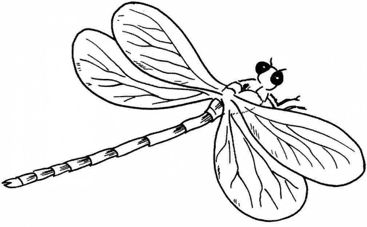 Amazing dragonfly coloring pages for kids
