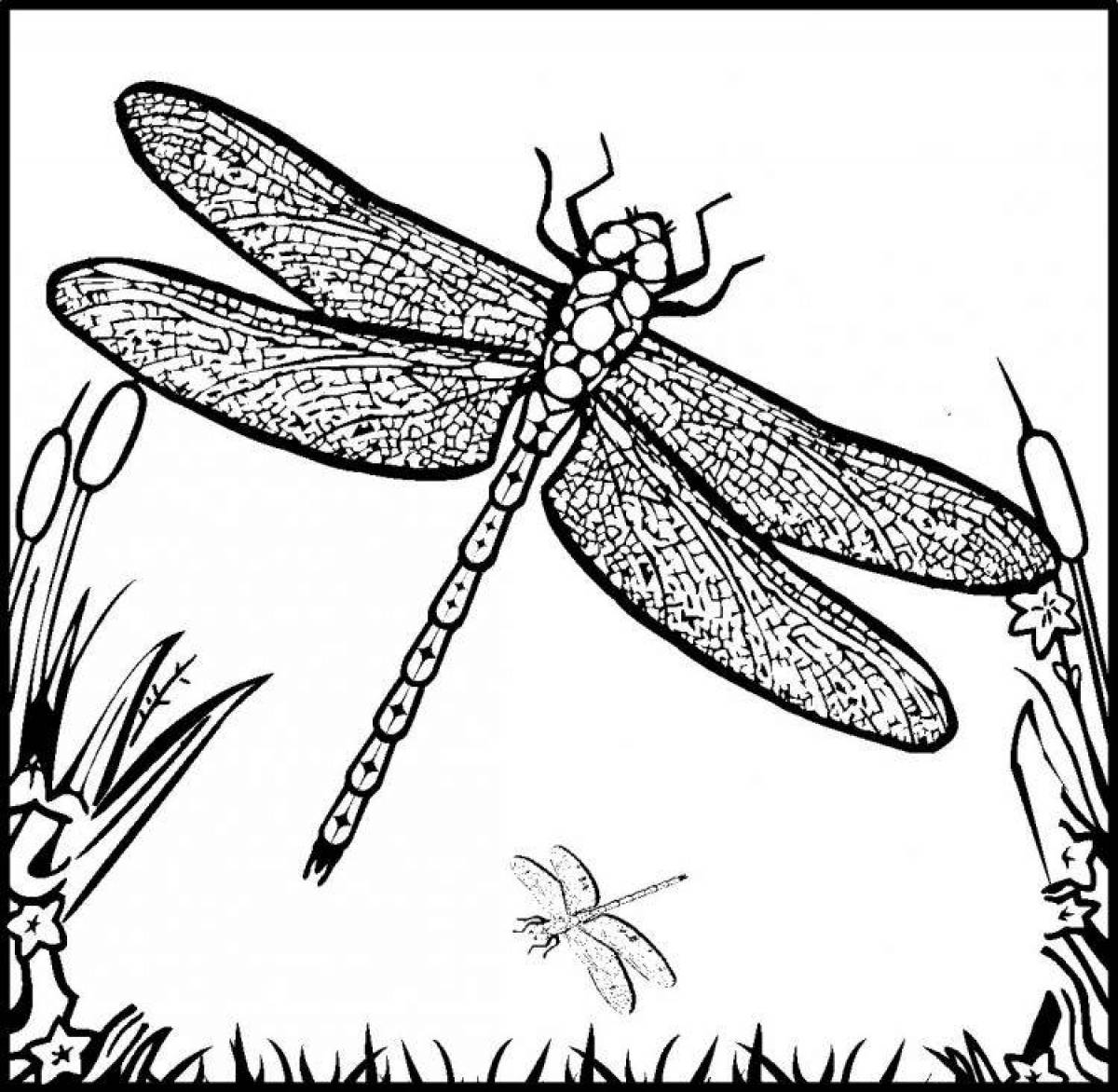 Fantastic dragonfly coloring pages for kids