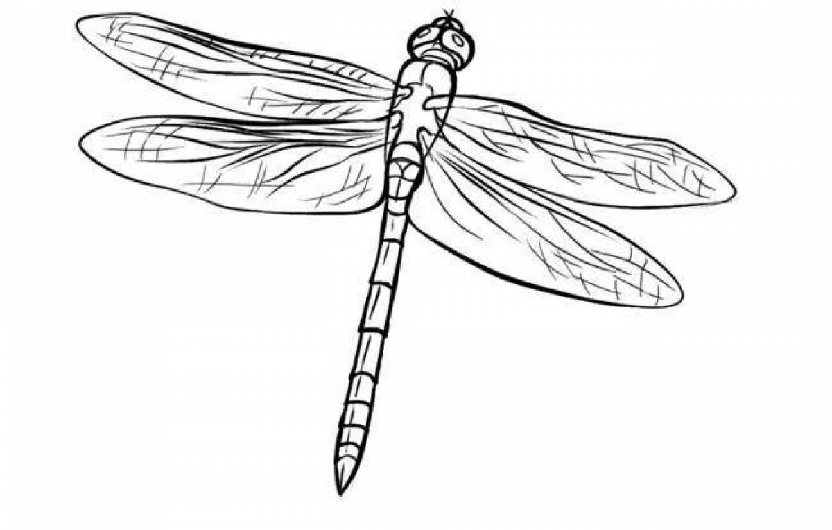 Creative coloring dragonfly for kids