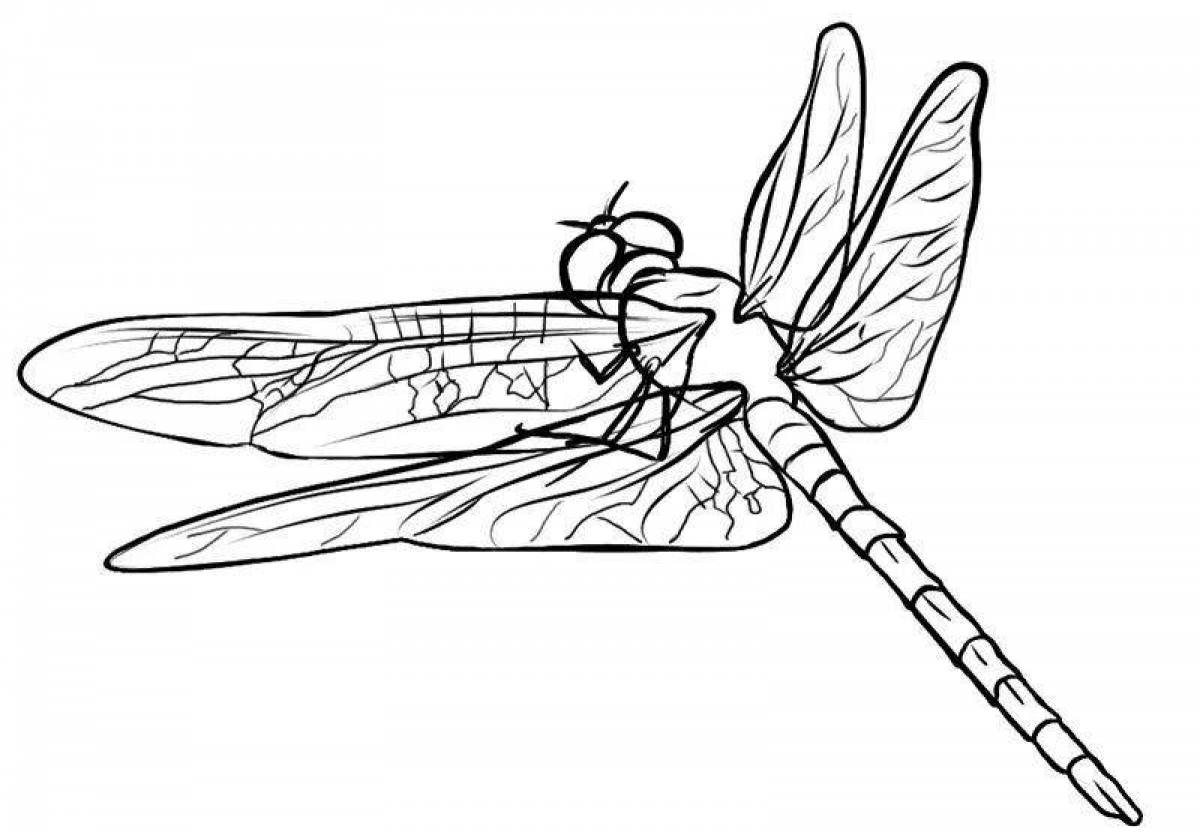Fancy dragonfly coloring pages for kids