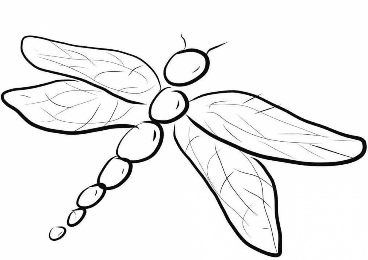 Colorful dragonfly coloring book for kids